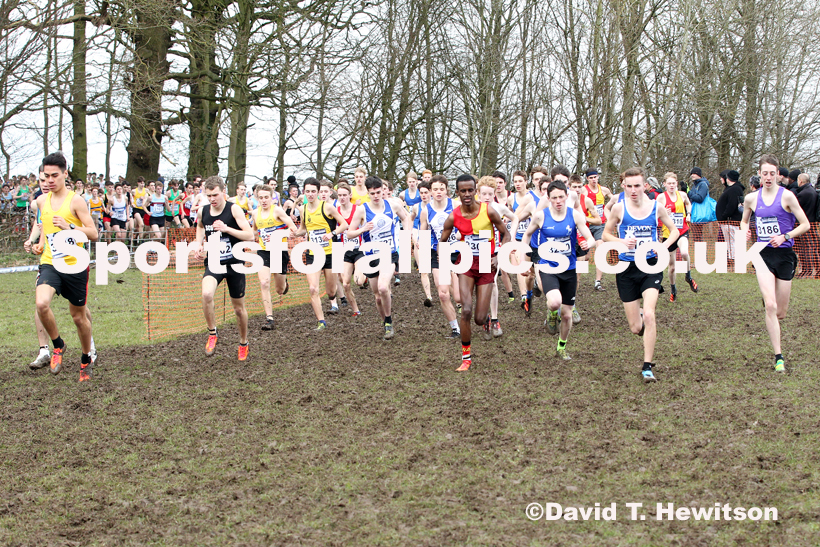 Mens under-17s, 2020 British Athletics Inter Counties Cross Country Champs., Prestwold Hall, Loughborough. Photo: David T. Hewitson/Sports for All Pics